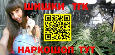 шишки Гусиноозёрск