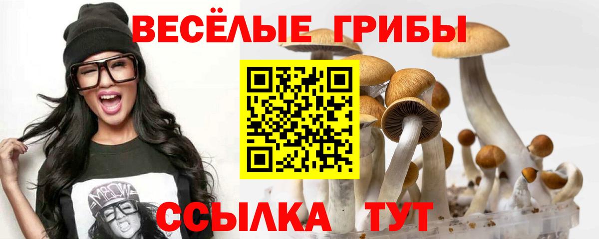 Псилоцибиновые грибы Psilocybine cubensis Георгиевск
