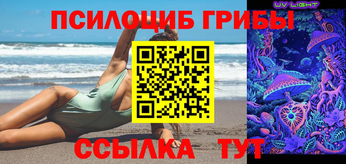 Георгиевск  Псилоцибиновые грибы прущие грибы  Вход с VPN  Псилоцибиновые грибы мухоморы 